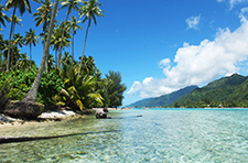 טיסות זולות ליעדים אקזוטיים